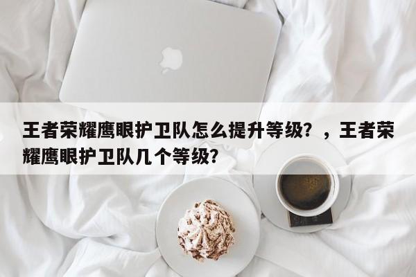 王者荣耀鹰眼护卫队怎么提升等级？，王者荣耀鹰眼护卫队几个等级？-第1张图片