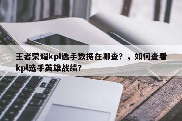 王者荣耀kpl选手数据在哪查？，如何查看kpl选手英雄战绩？-第1张图片