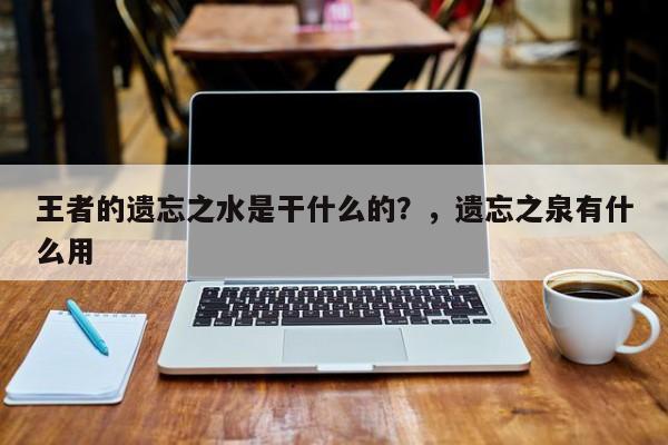 王者的遗忘之水是干什么的？，遗忘之泉有什么用-第1张图片